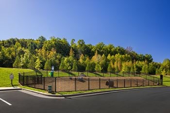 Pet park
